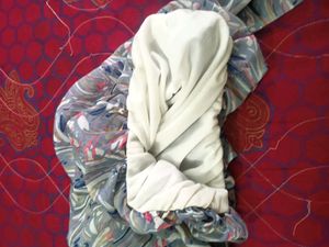 Blouson Top