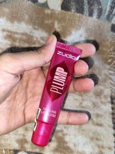 Zudio Plump Lip Gloss (Only Used 1 Time)