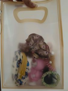 Hair Accessories &amp; More