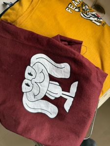 Combo Of 2 Fearless Tiger Graphic Tee