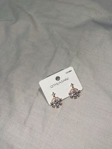 Sparkling Earrings