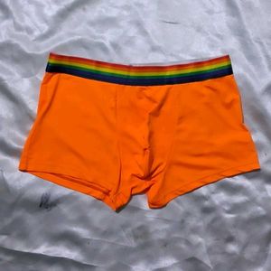 New Pant
