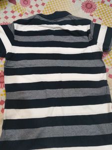 Striped Polo T-Shirt