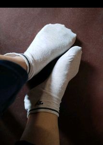 Used Socks For Women