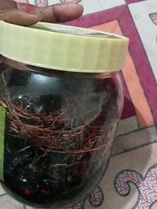 Heena Hair Oil