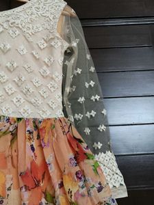 Women Embroidered Chiffon Net Printed Gown Dress