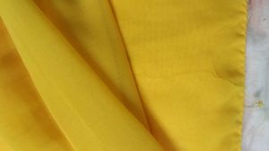 Light Yellow Saree