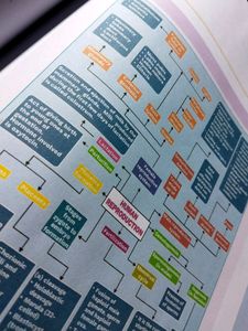 Human Reproduction Printed Notes Unacademy