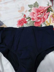 Health Fab Go Pad Free Period Panty