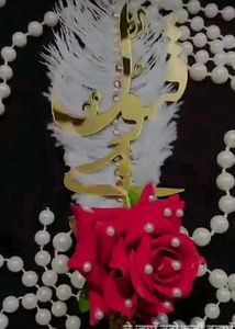 Qubool Hai Pen