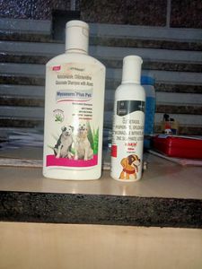 Dog Shampoo Mycobacterium