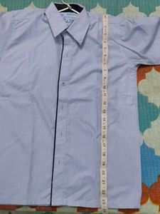 Blue Striped Shirt
