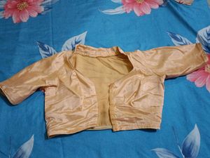 Festive saree With Collar Blouse