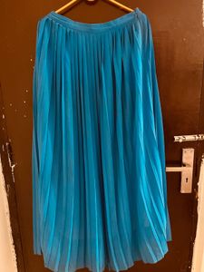 Pleated Skirt