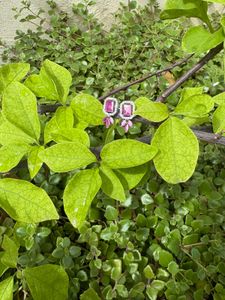 PINK AD STONE EARRINGS FOR WOMEN’S