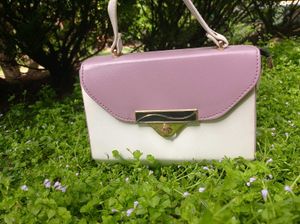 Chic Two-Tone Handbag/Sling Bag