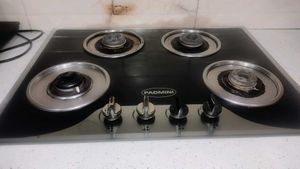 PADMINI Gas Stove