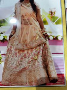 Elegant Lehenga Choli
