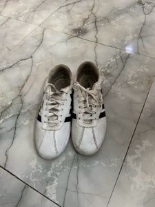 Sparx Men Sneakers