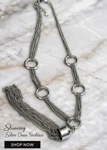 Silver Chain Statement Necklace