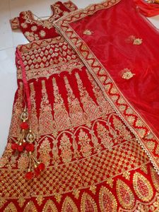 Diwali Offer 💥 Dupatta