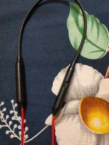 JBL Wireless Neckband