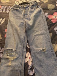 Ripped Wide Leg Zara Pants