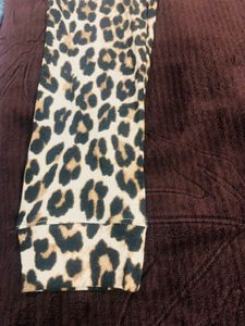 Cheetah Skin Activewear Pants – Khaki Dominant |