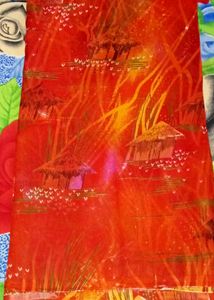 New Saree Design No 6001