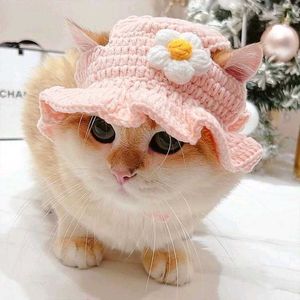 Cute Cat Hat