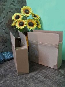 Box Packing