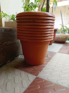 Plant Pot (Pack Of 10 )