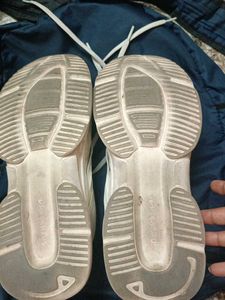 CAMPUS SHOES