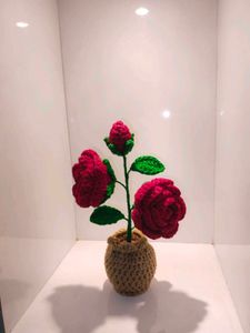 Restocked!! Crochet Potted Rose 🌹
