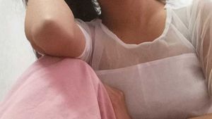 Elegant Sheer Sleeve Top