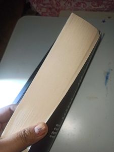 The Rudest Book Ever