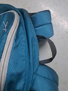 Skybags Blue Backpack