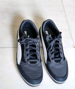 Puma Men Grey Astro Sala Sneaker