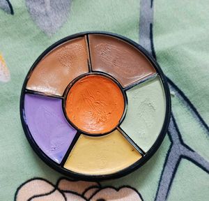 Insight Pro Concealer Palette