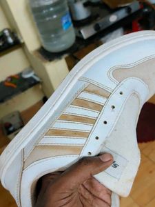 Sparx White Sneakers