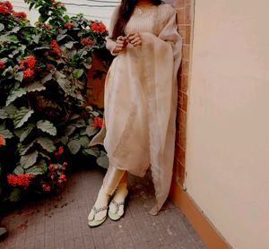 Organza Salwar Suit