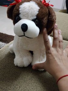 Dogi