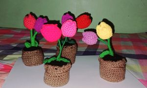 Small Tulips Flower Pots