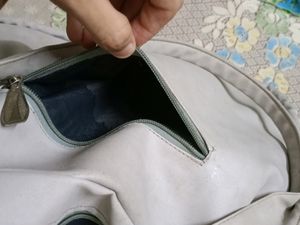 Meow Handbag