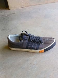 Sparx Casual Shoes