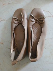 Cover Shoe