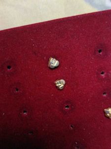 Cute Gold Stud Earrings nose pin