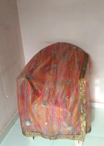 Multi Colour Net Saree