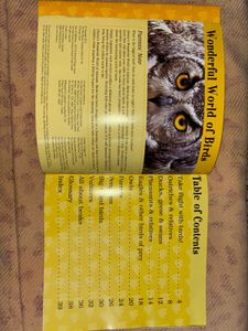 Disney Learning Birds 3D Book