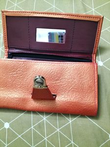 New Shimmery Clutch